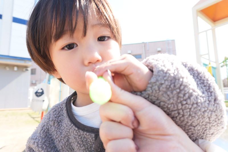 株式会社RISE KIDSのアルバイト・バイト求人情報-05