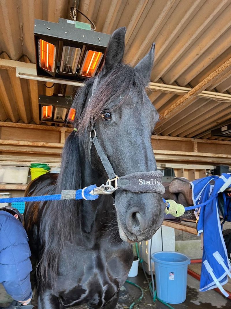 有限会社慎洸の求人・転職情報