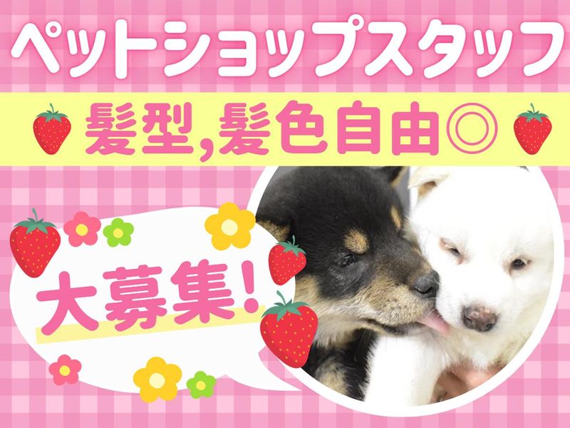 ワンラブ　カインズ仙台泉店のアルバイト・バイト求人情報-01