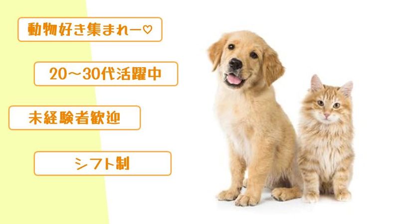 株式会社レックス-0003の求人・転職情報