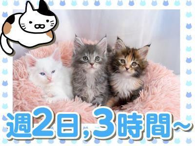 DOG&CAT JOKER コピス吉祥寺店のアルバイト・バイト求人情報-03