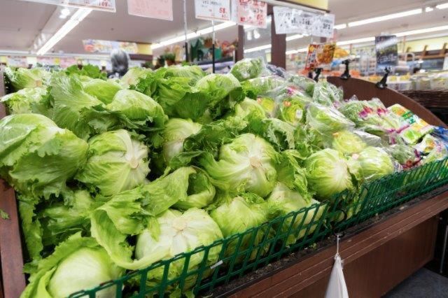 コモディイイダ東大宮店のアルバイト・バイト求人情報-02