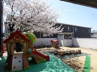 株式会社ソールの求人・転職情報