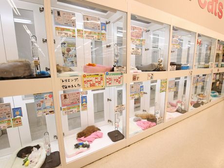 Coo&RIKU(クーアンドリク)　綿半庄内店のアルバイト・バイト求人情報-03