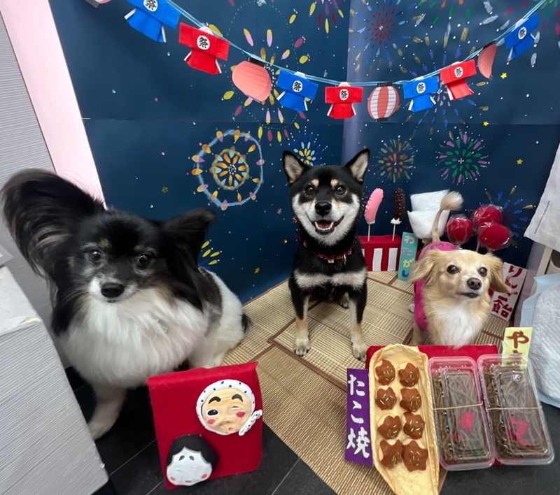 DogSalon againのアルバイト・バイト求人情報-03