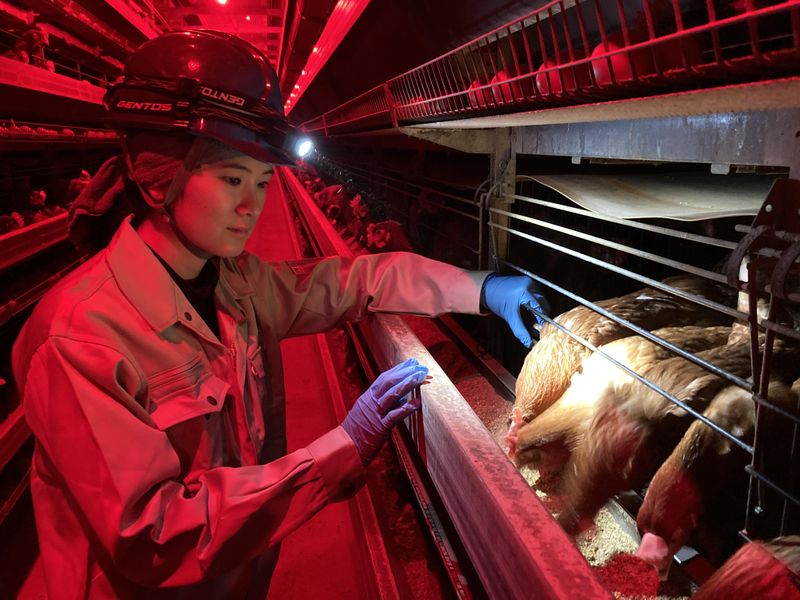 株式会社半田ファーム