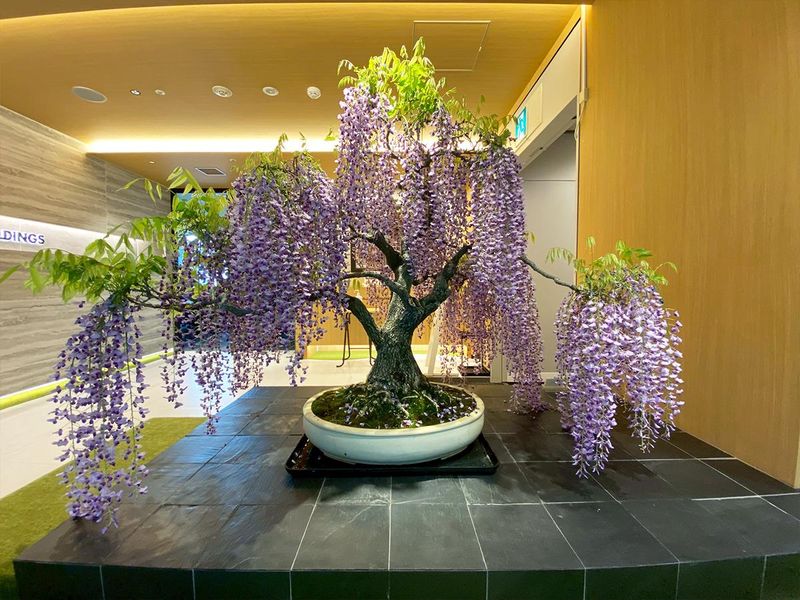 株式会社エスキューブの求人・転職情報