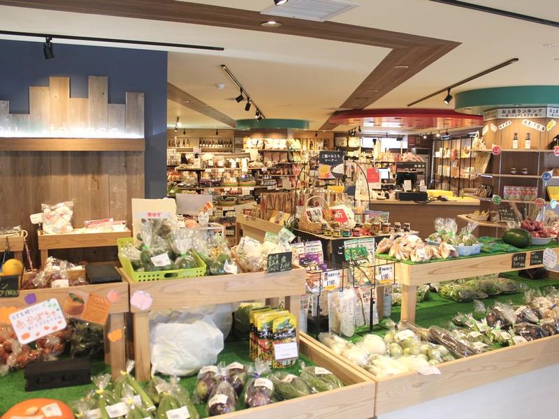 遊ingPLAZA　KinuTerrace(株式会社ホテルサンシャイン鬼怒川)のアルバイト・バイト求人情報-02