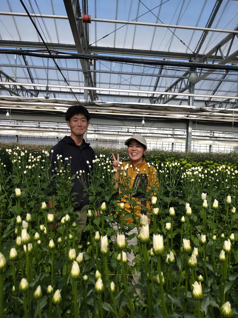 株式会社アマテルの求人・転職情報