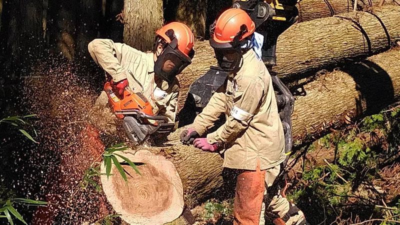 結尚産業株式会社の求人・転職情報