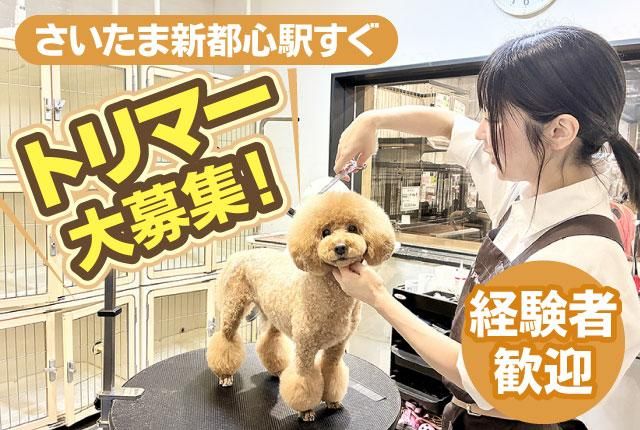 株式会社AHBの求人・転職情報