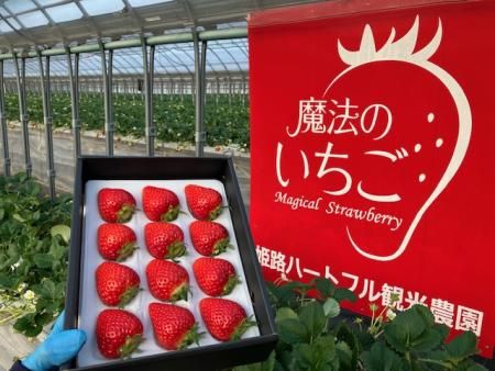 姫路ハートフル観光農園のアルバイト・バイト求人情報-02