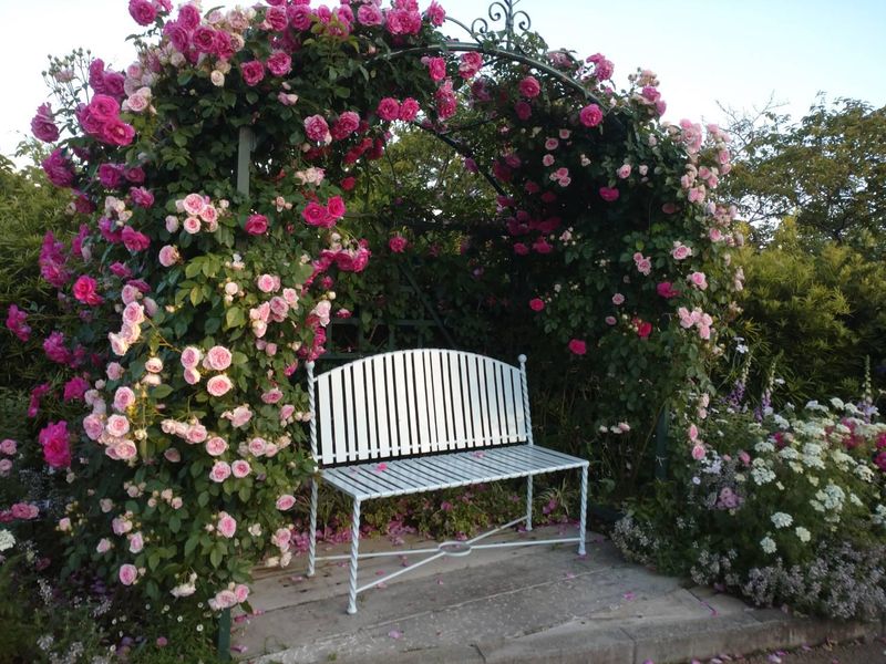 株式会社グリーンファーム　はままつフラワーパーク内 温室カフェ「Cafe Green Rose」のアルバイト・バイト求人情報-03