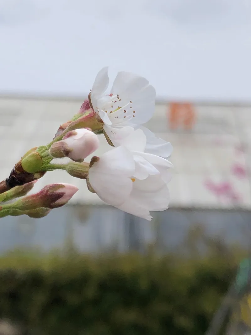株式会社埼玉植物園の求人・転職情報
