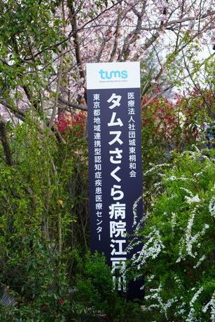 医療法人社団 城東桐和会　タムスさくら病院江戸川の求人情報