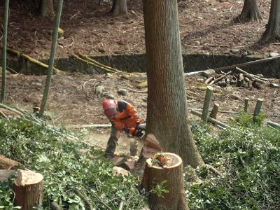 有限会社日興造林の求人・転職情報