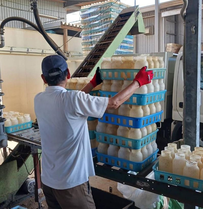 株式会社ドリームマッシュ　本社工場の求人情報