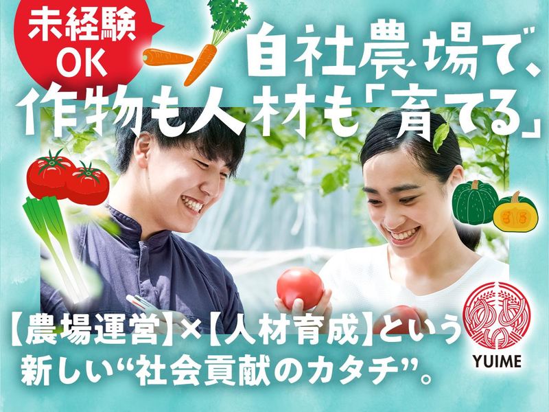 YUIME株式会社の求人・転職情報