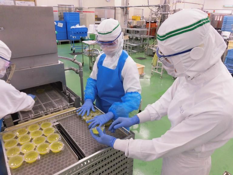 【28卒】お菓子ができるまでを体感 / 製菓工場見学コース