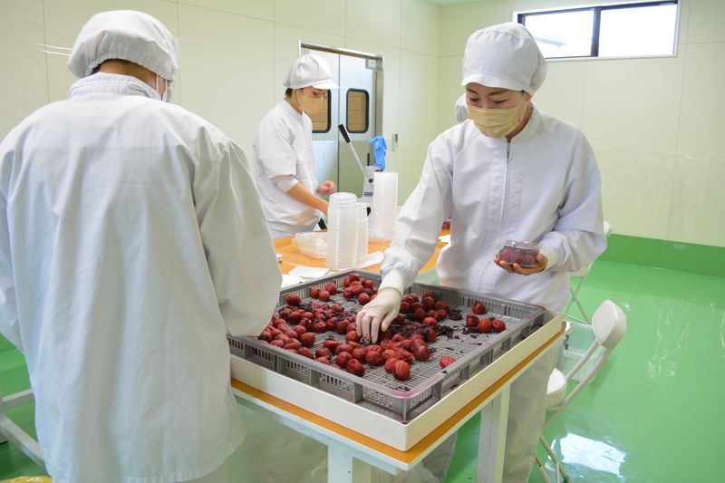 株式会社うめひかりのアルバイト・バイト求人情報-02
