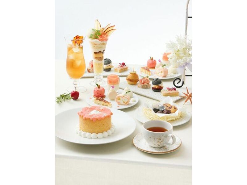 株式会社バルニバービウィルワークスの求人・転職情報