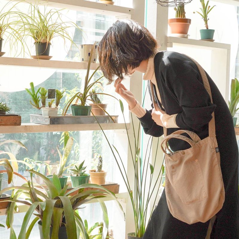 有限会社SWISのアルバイト・バイト求人情報-01