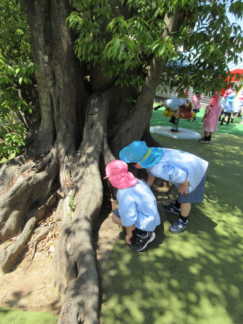 宮山幼稚園のアルバイト・バイト求人情報-04