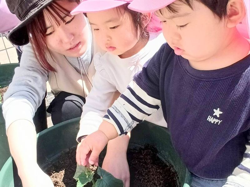 本寺小路わくわく　ちびっこ園のアルバイト・バイト求人情報-02