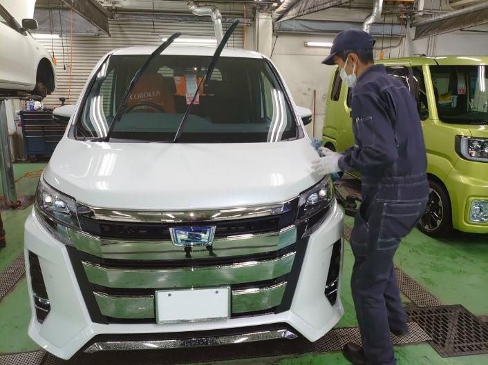 トヨタカローラ 新港マイカーセンターの求人情報