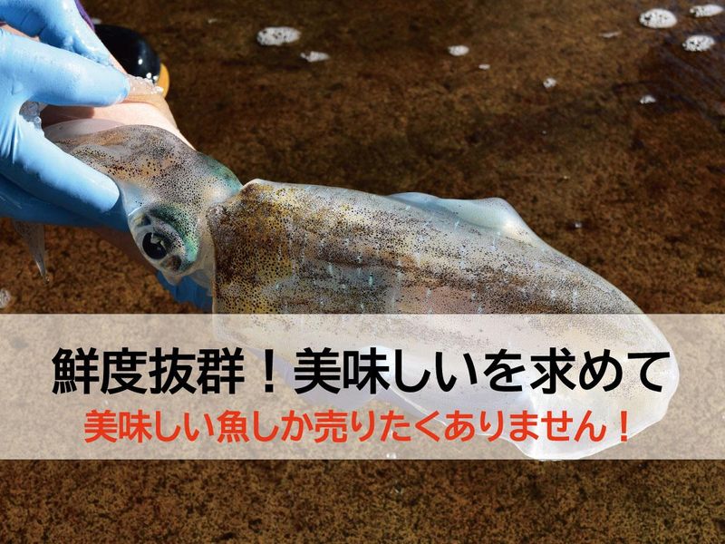 活魚鮮魚問屋シーズ(Seas)のアルバイト・バイト求人情報-02