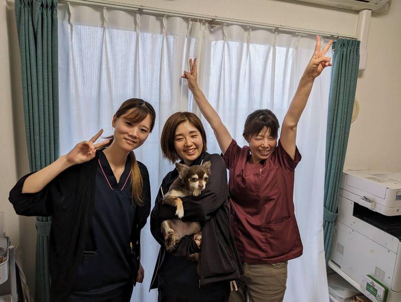 株式会社サンブルーム はるいろ訪問看護ステーションの求人・転職情報-05