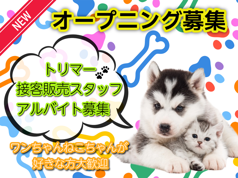 ドッグズホーム　宇土店のアルバイト・バイト求人情報-05