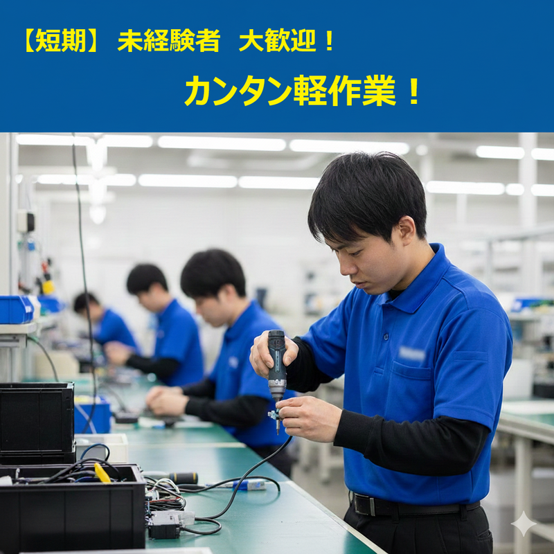 株式会社マイスティア　本店の求人・転職情報