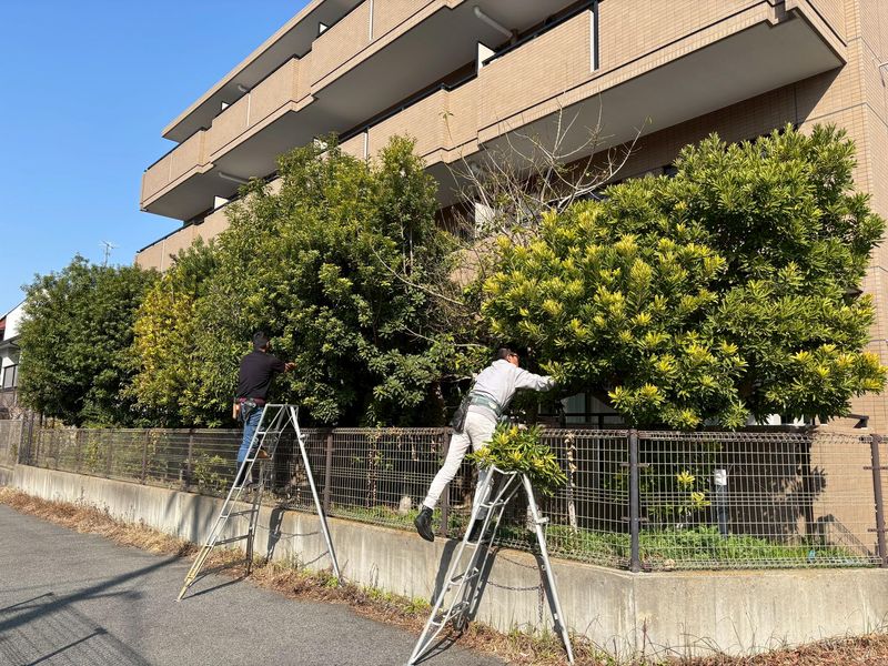 株式会社安造園のアルバイト・バイト求人情報-04