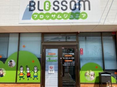 ノワックス合同会社の求人・転職情報
