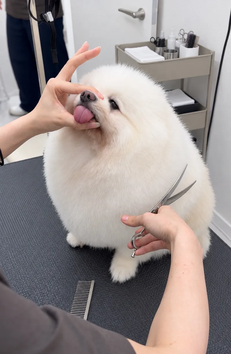 株式会社犬丸の求人・転職情報