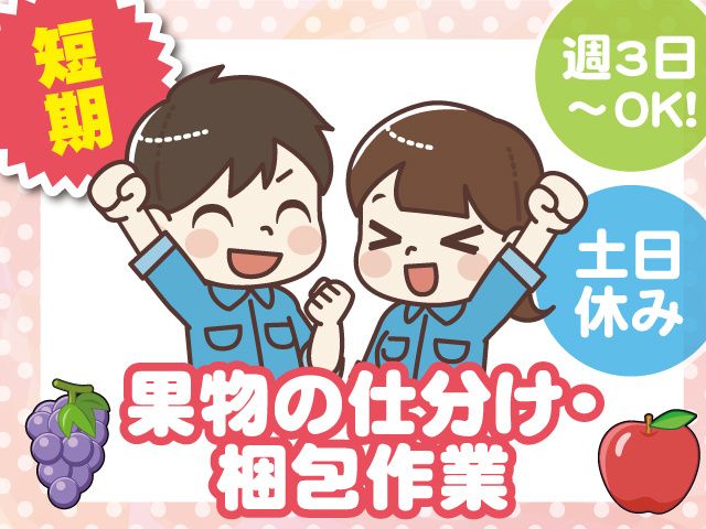 株式会社セイノースタッフサービス　関東支店のアルバイト・バイト求人情報-12