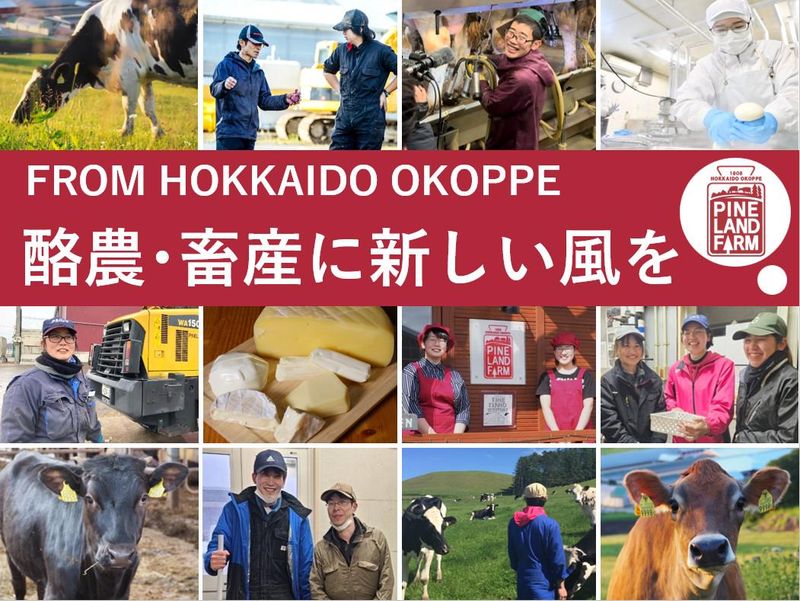 有限会社パインランドデーリィ