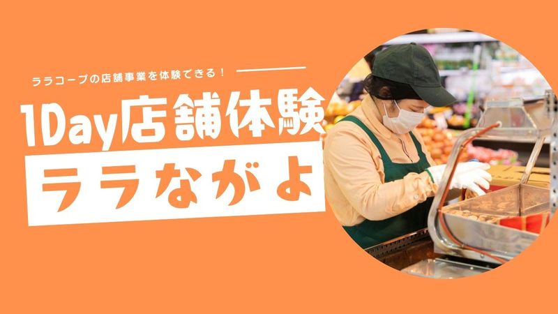 28卒│生協店舗でPOP作成や店作りを学ぶ!1Dayお店体験