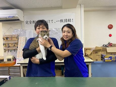 YC(読売センター)　大橋南・花畑やよい坂(福岡県)のアルバイト・バイト求人情報-27