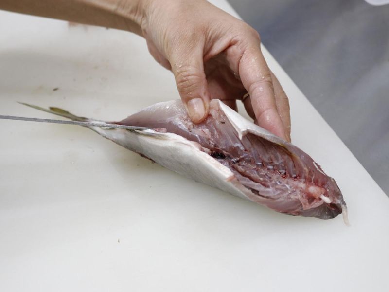 魚河岸のすし　えびす　垂水店のアルバイト・バイト求人情報-01