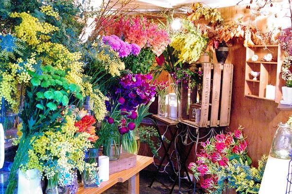 Fra cotta Decoのアルバイト・バイト求人情報