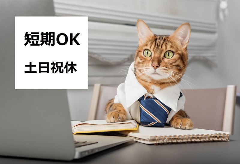 AMUSE株式会社の派遣求人情報