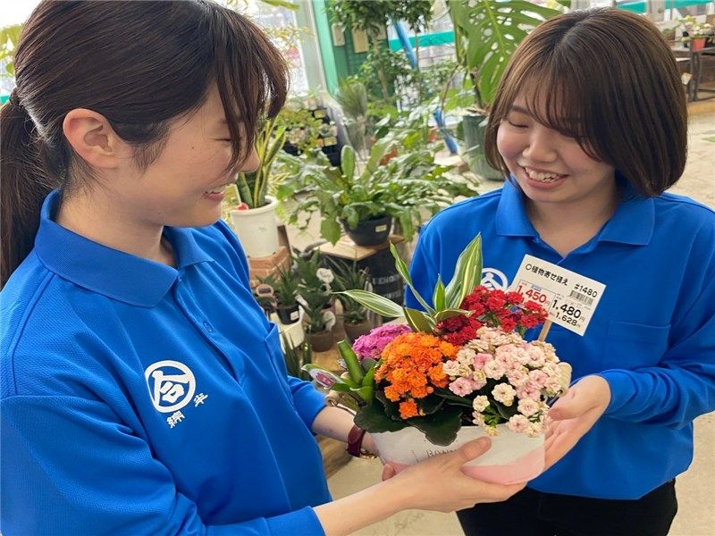 綿半スーパーセンター千曲店のアルバイト・バイト求人情報-02