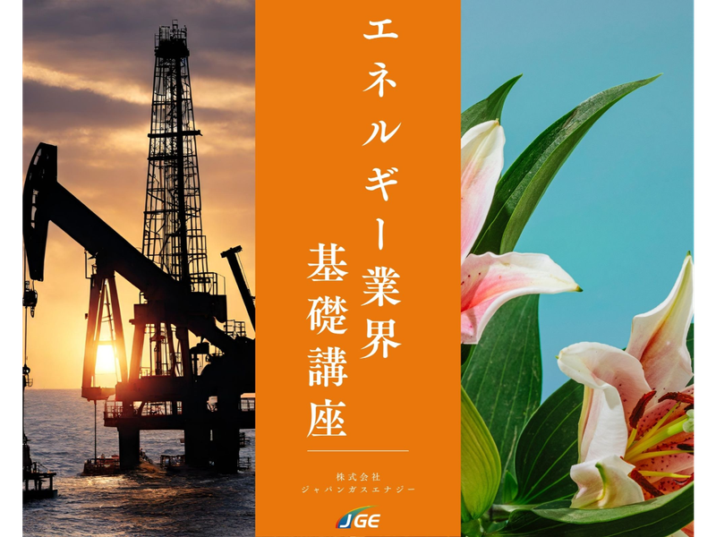 株式会社ジャパンガスエナジー