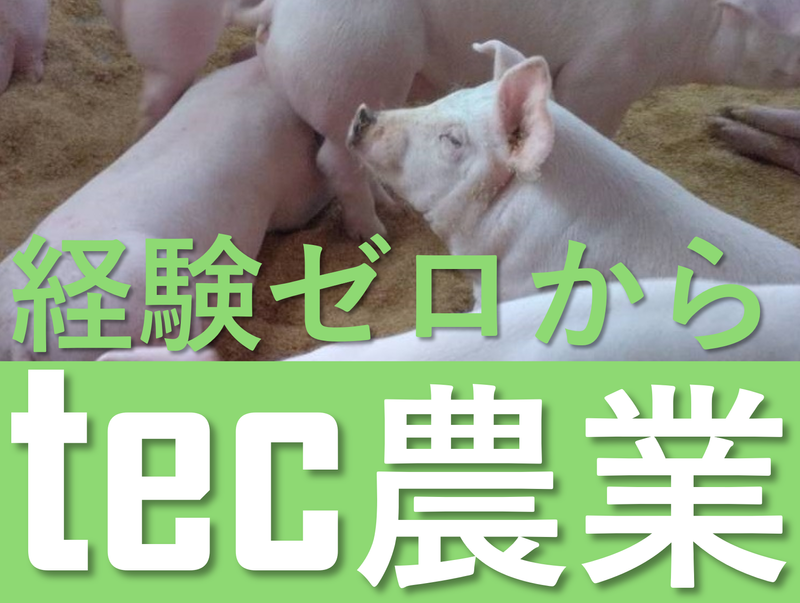 有限会社坂上ファームの求人・転職情報