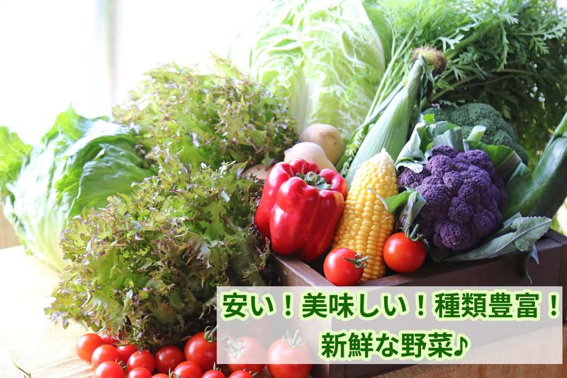 夕張鉄道株式会社　野幌営業所のアルバイト・バイト求人情報-04