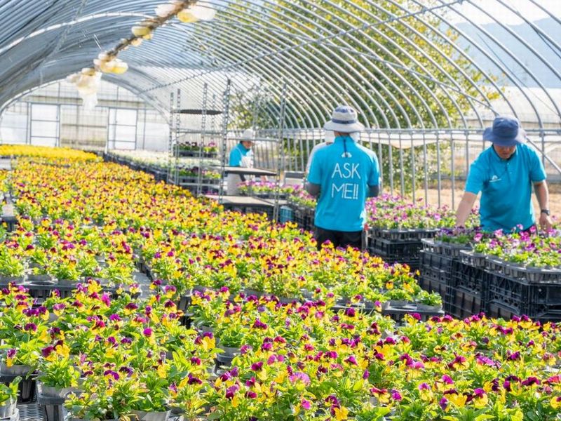 ナーセリーランドの派遣求人情報