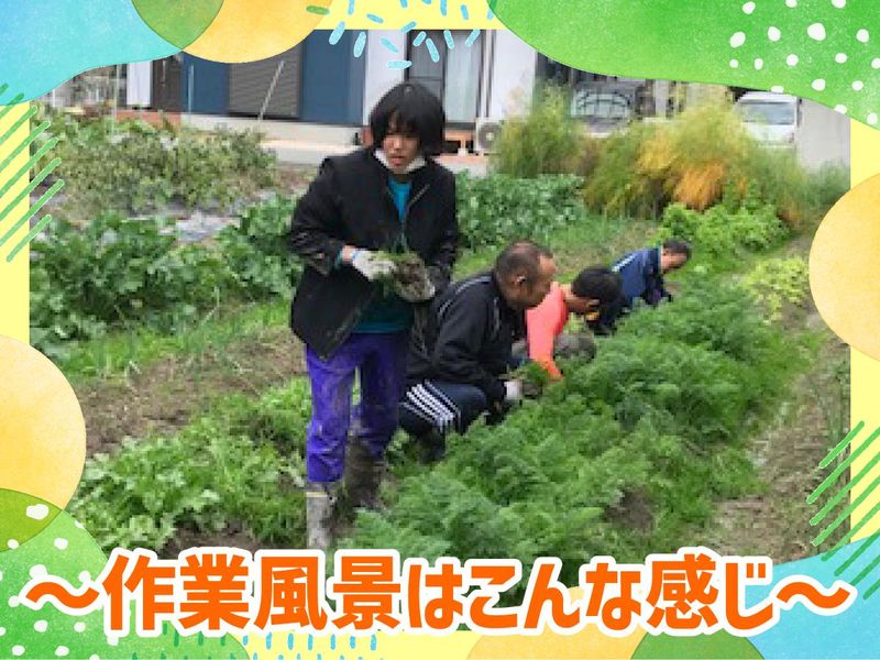 特定非営利活動法人阪神・障害者人権ネットワークの求人・転職情報