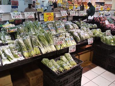 森尾青果株式会社のアルバイト・バイト求人情報-05